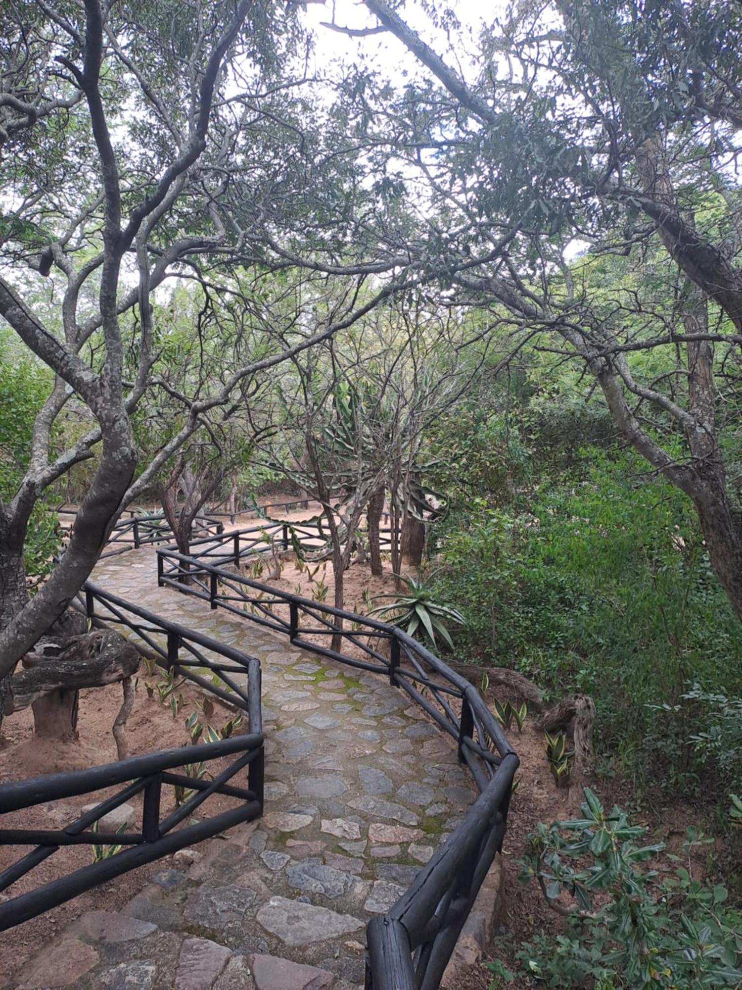 Little Bush Lodge Hoedspruit Luaran gambar